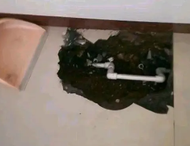 沙坪坝卫生间测漏水多少钱